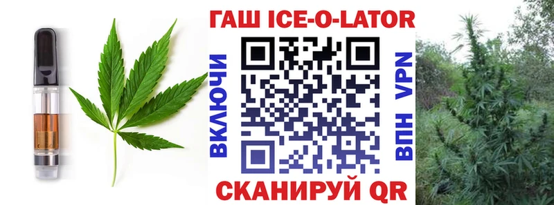 Cannafood конопля  Купить закладки  Сольвычегодск 