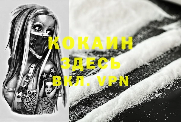 твердый Алексеевка