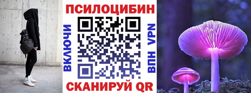 Купить где  Сольвычегодск  Псилоцибиновые грибы GOLDEN TEACHER 